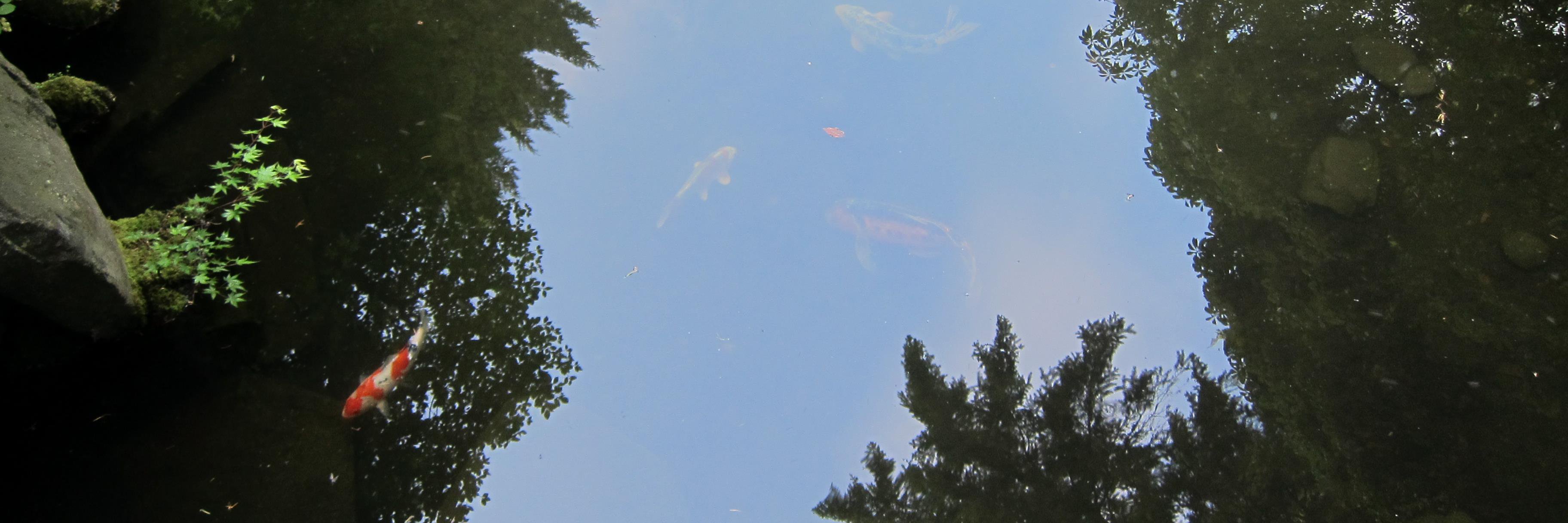 Peter Jones - Redesign, Realize, Relocate. banner