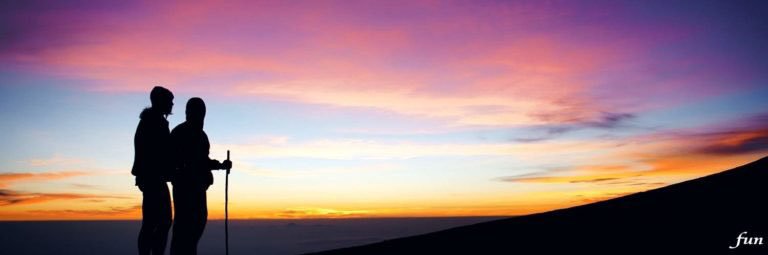 どんぐりが物申す🇺🇦🎗️💜 banner