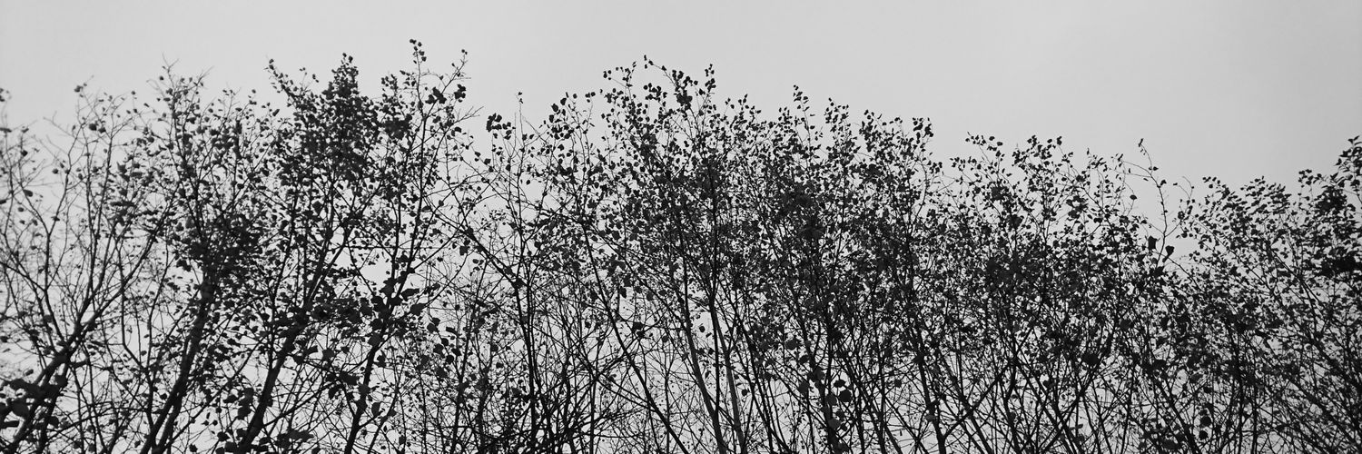 Peeka3333's profile banner image