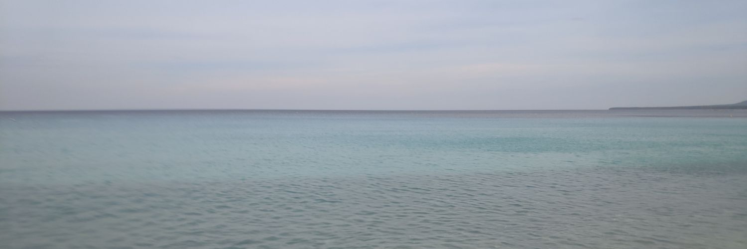b3n3tt3's profile banner image