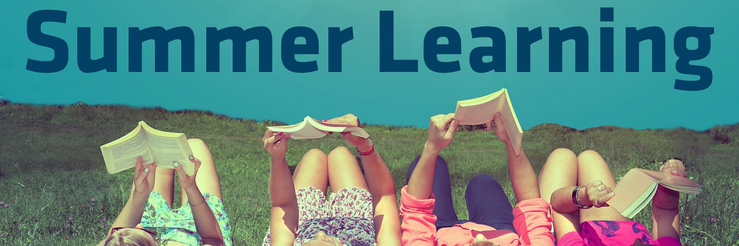 WVSSummer's profile banner image