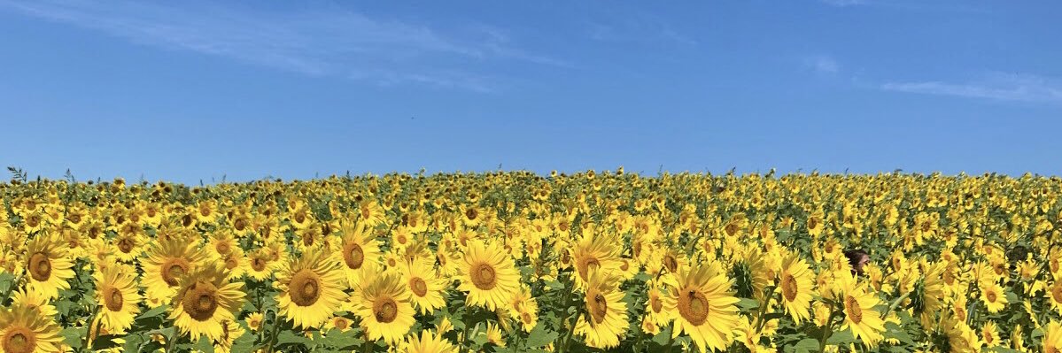 veryoldbilly's profile banner image