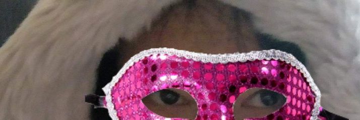 PrincessRRahRah's profile banner image