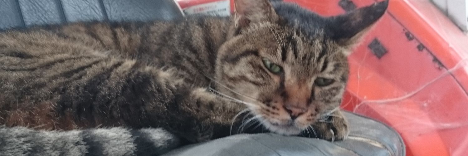 monotitle's profile banner image