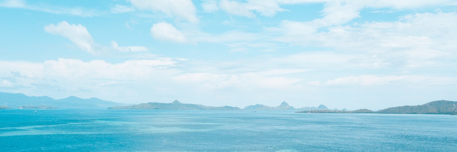 idnetter's profile banner image