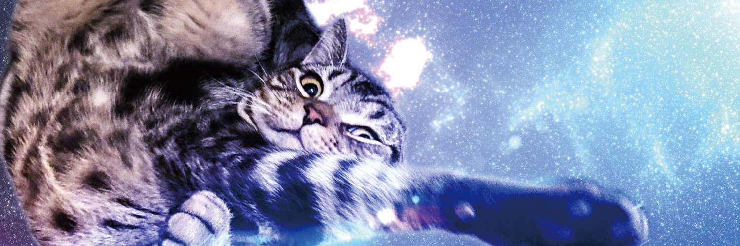 げんぴょん banner