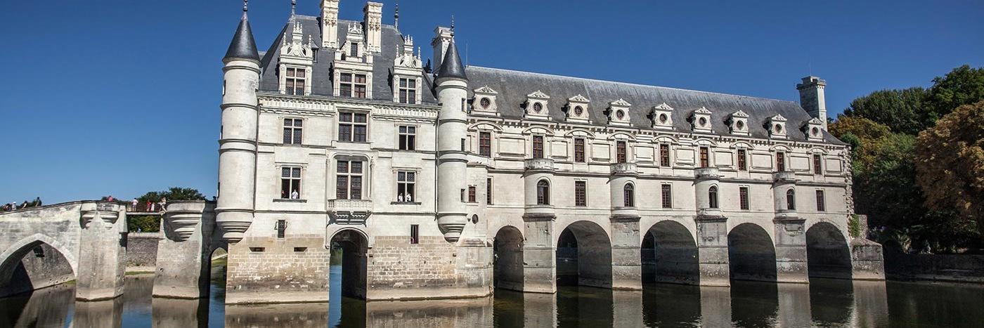 Janet Johnson banner