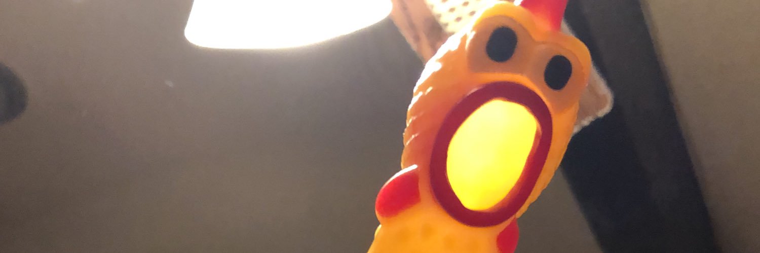 studioforest47's profile banner image