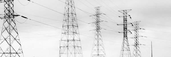 avery_waddles Profile Banner