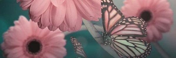 dlbolt's profile banner image