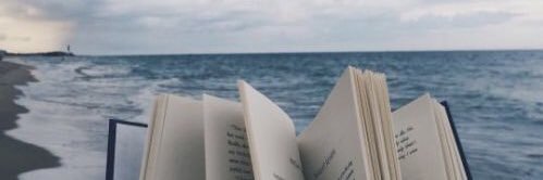 Darek|Meridian 🌈 banner