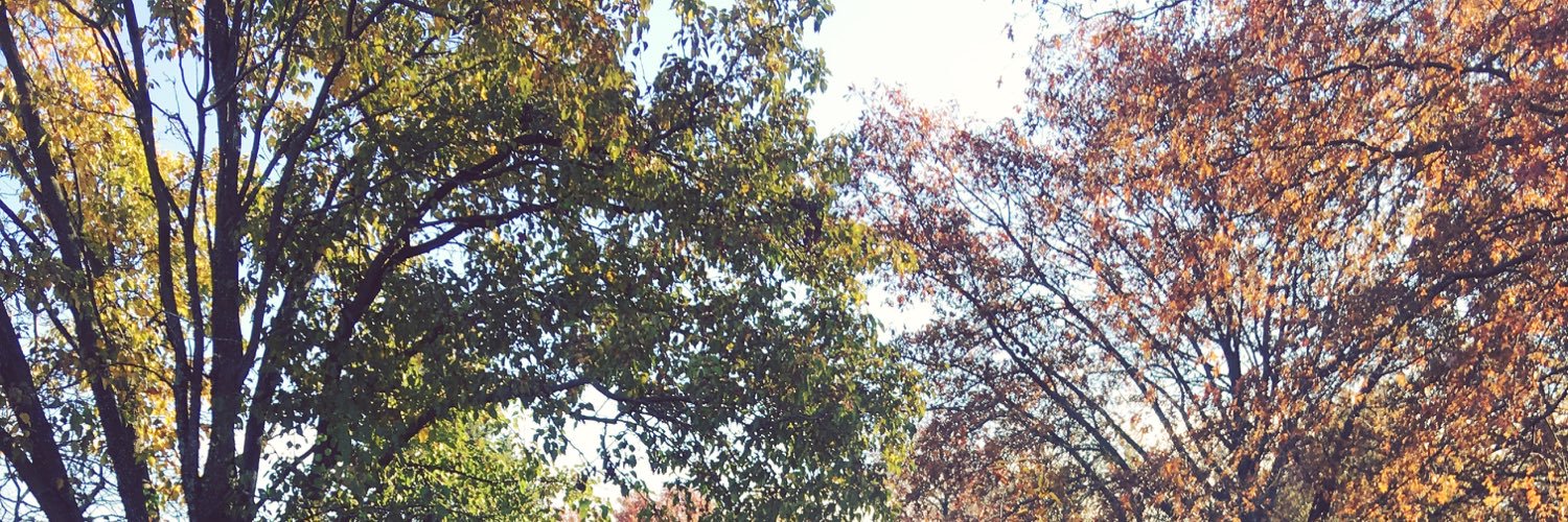 okaymorris's profile banner image