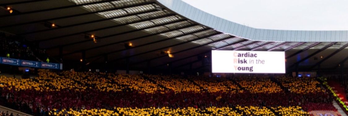 bilkowalker's profile banner image