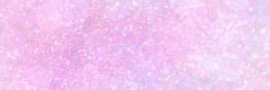 る🌼 banner