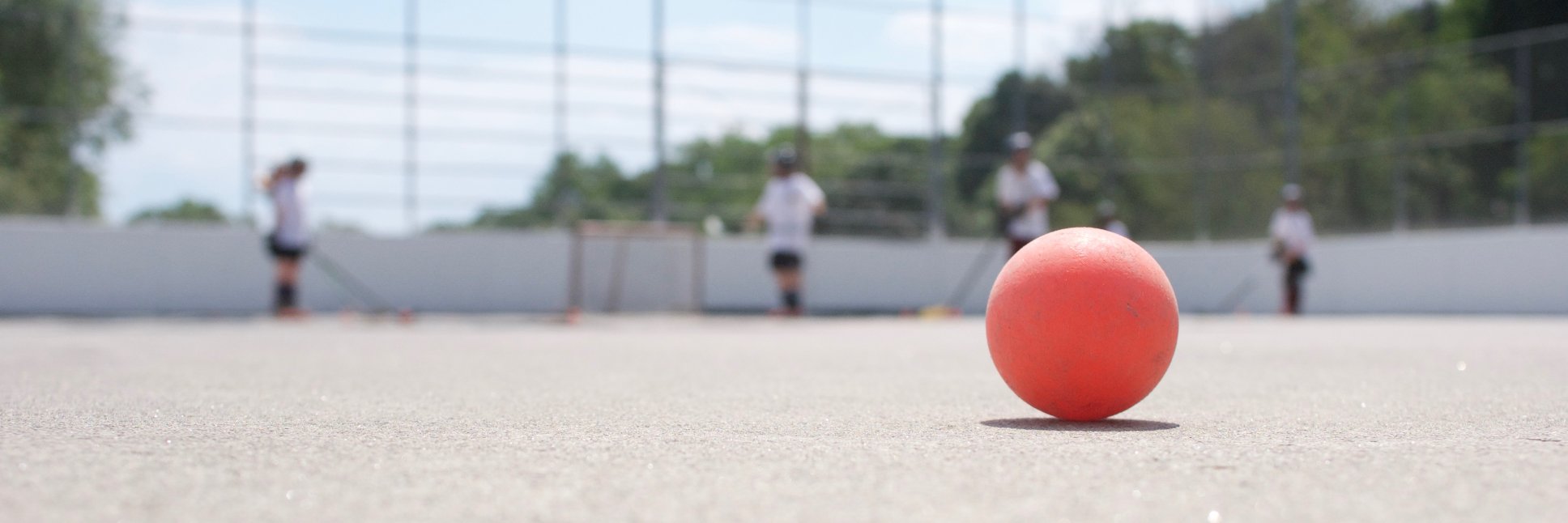 WithrowAcademy banner