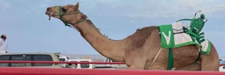 ياسر بن حمود MBS🇸🇦🇸🇦 banner