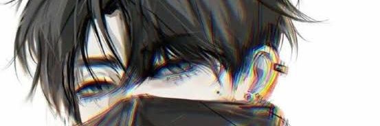 roana banner