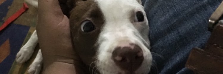 rubenbautistaaa's profile banner image