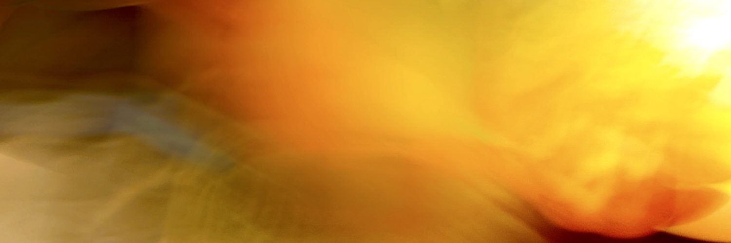 Diego Palomo - D i d a c ® banner