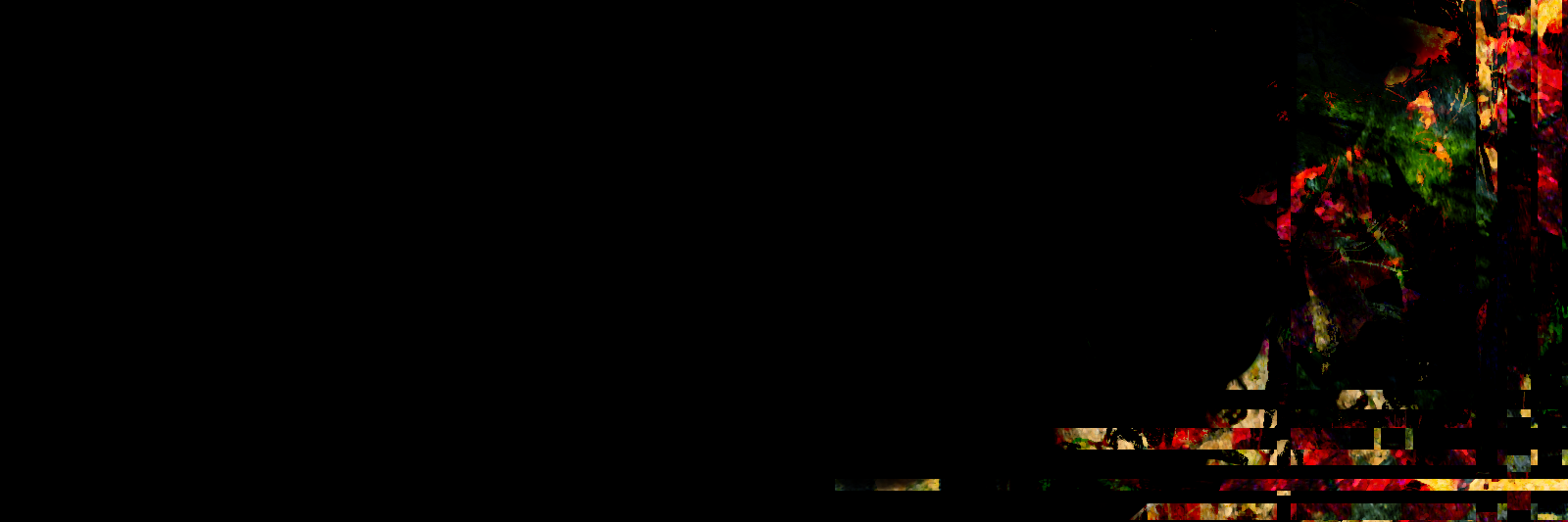 Rust のような何か with 任意's banner