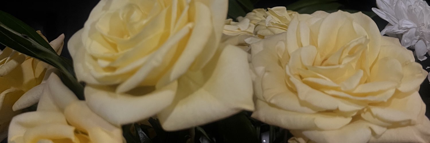 Keyry301's profile banner image