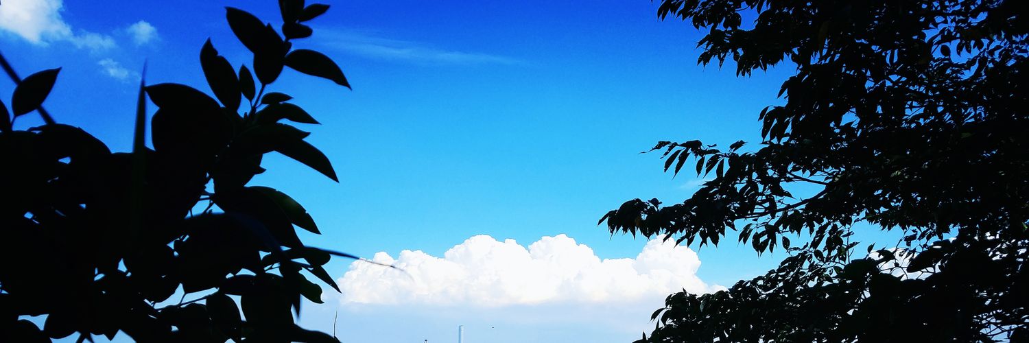despairdevil20's profile banner image