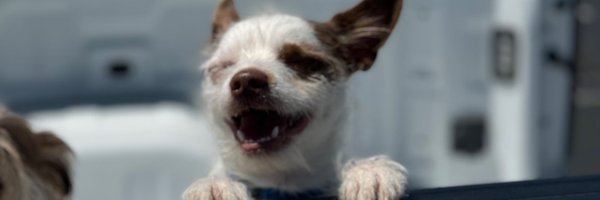 DoItForTheDAVE Profile Banner