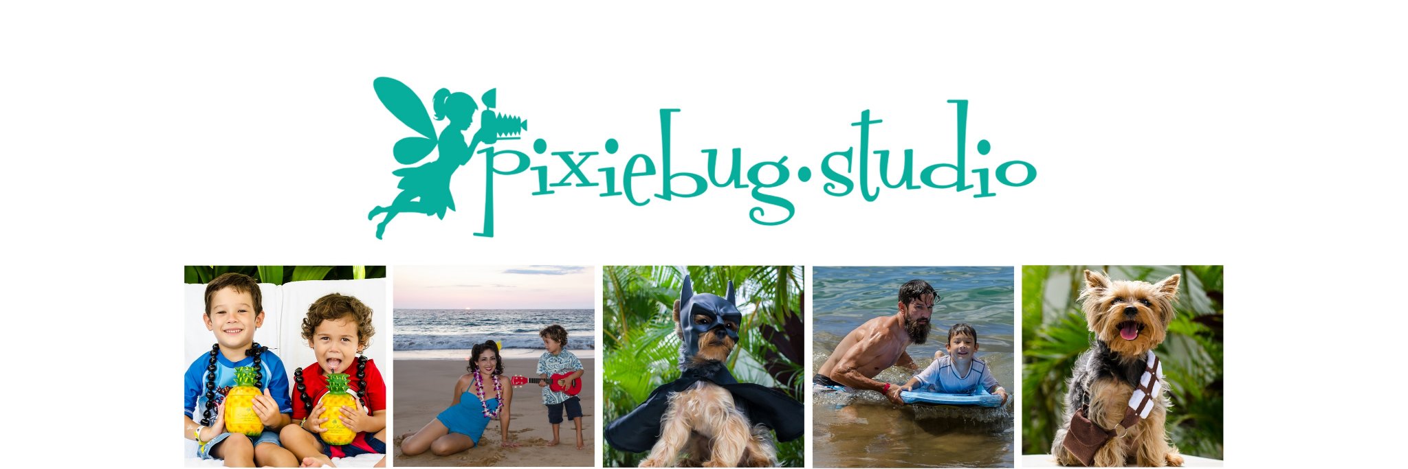 PixiebugStudio's profile banner image