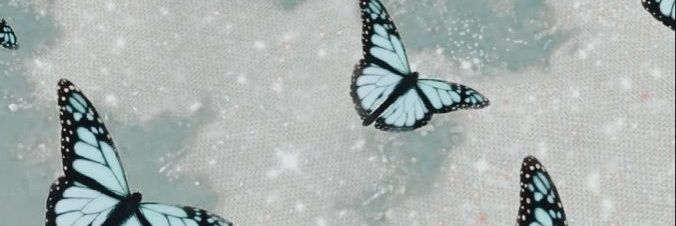 neveicee's profile banner image