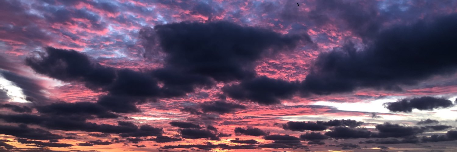 Shelby_fells's profile banner image