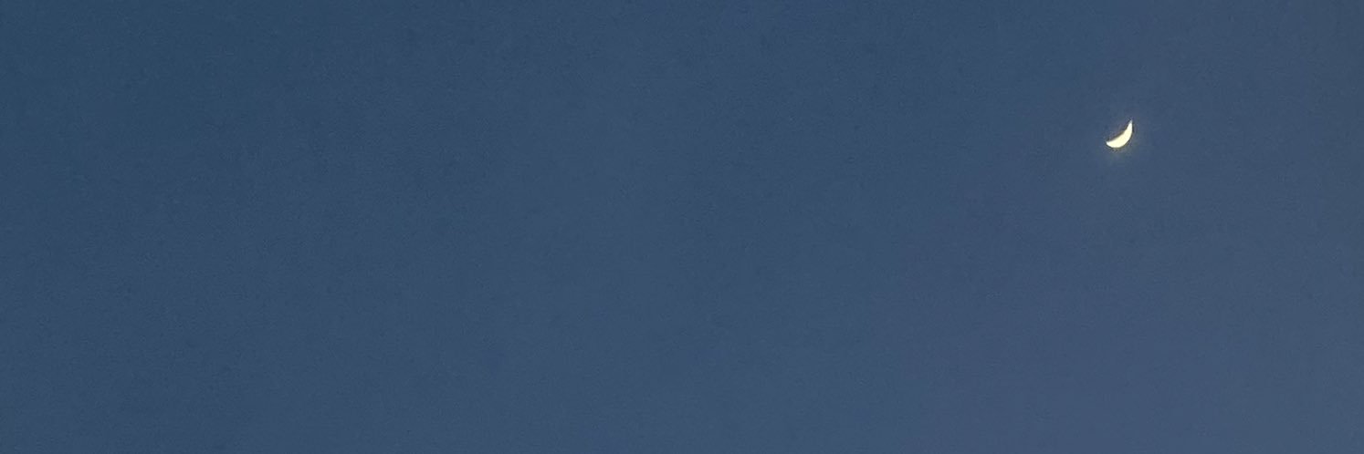 iriscma's profile banner image