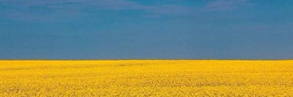 BulleTerrienne Profile Banner