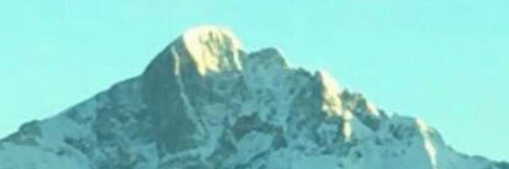 eva_riegler's profile banner image
