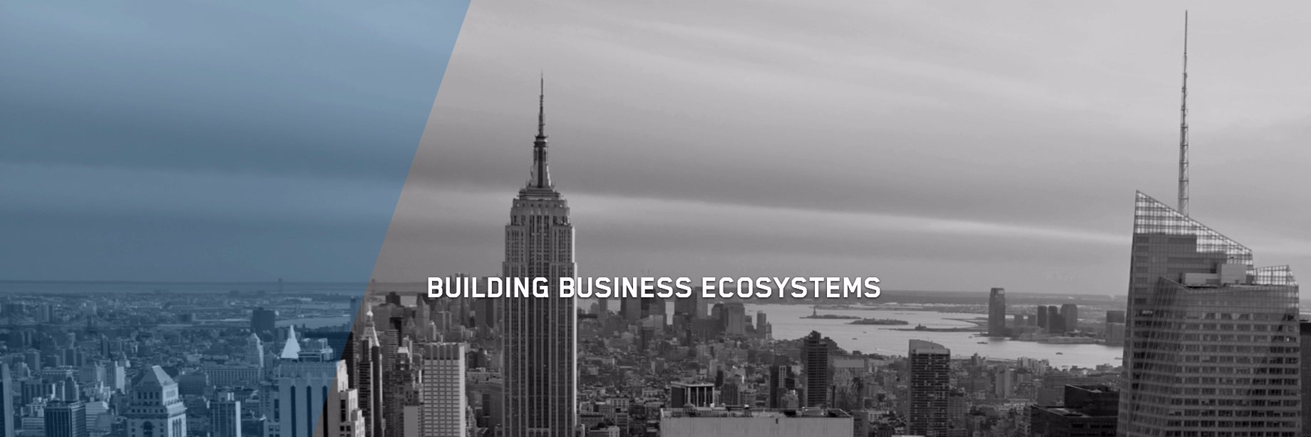 Integrationalpha banner