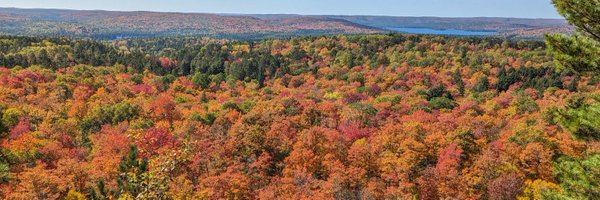 beirmug Profile Banner