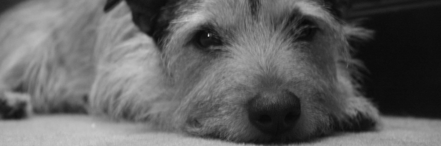 The Reading Glass - Rebecca - Somewhat Slightly banner