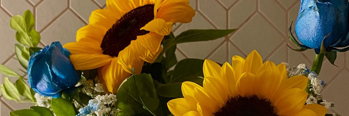 🩺 alanis ‧₊˚⋆ banner