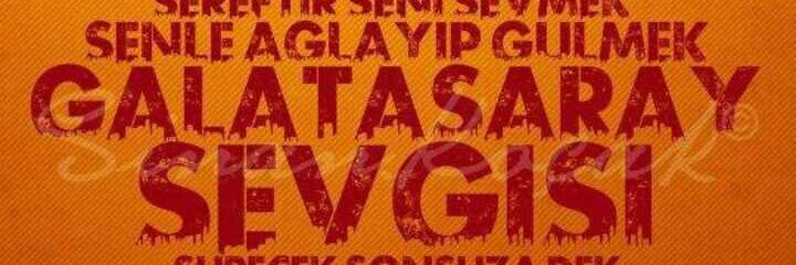 TotoroEmir's profile banner image