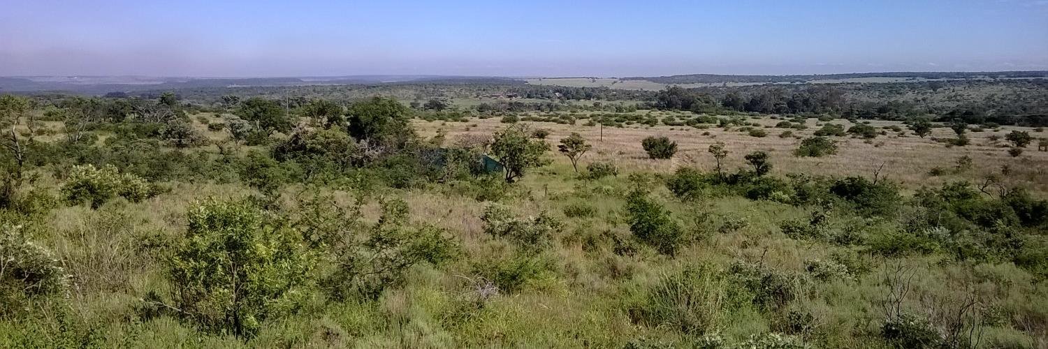 Sarah Pimentel banner