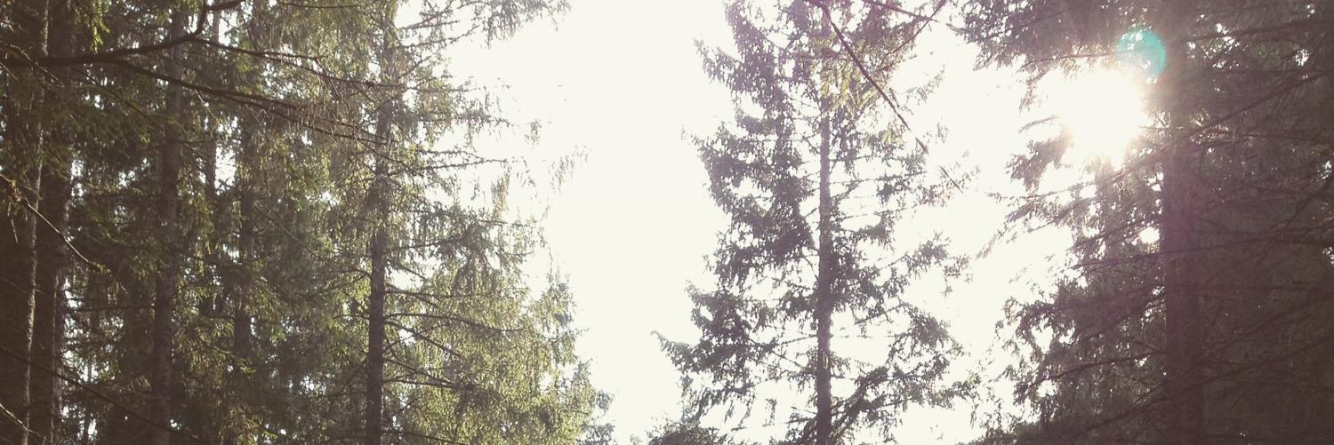 LouiseRingeby's profile banner image