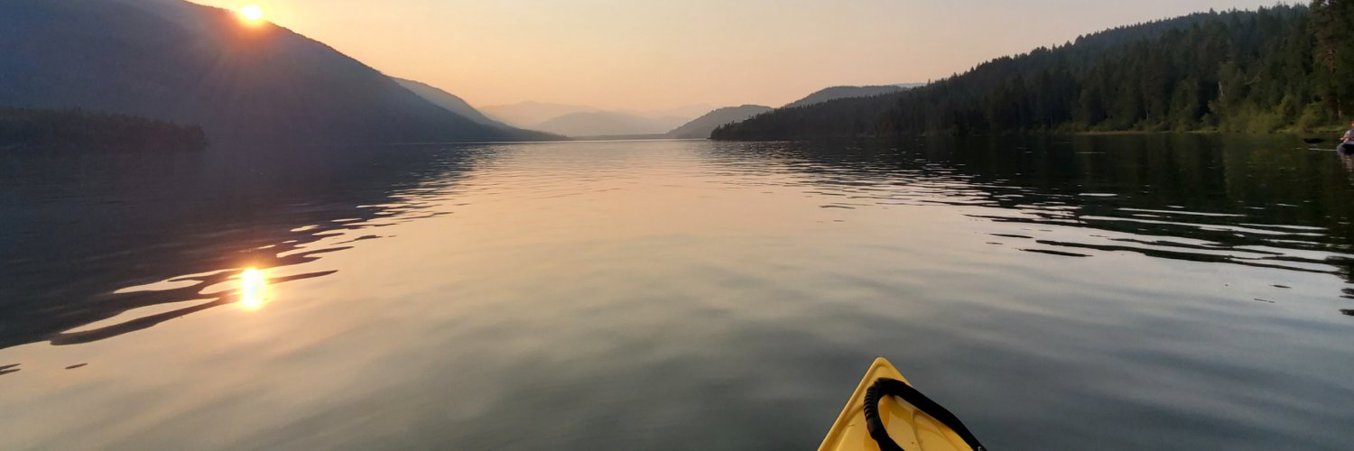 Patty Stephens banner