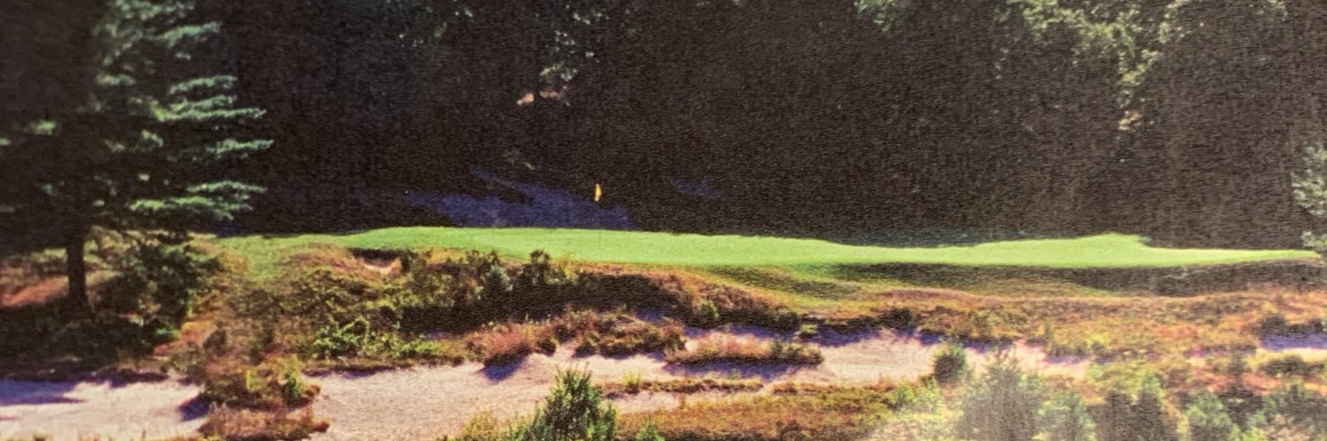 Andrew Lano II banner