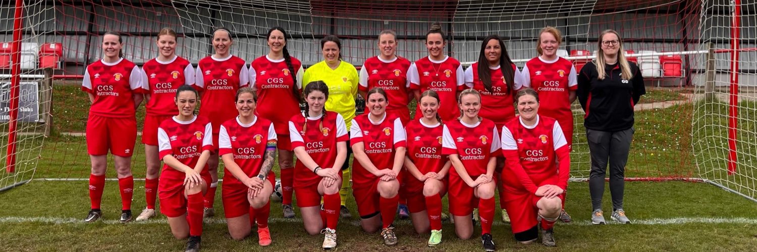 Wadebridge Ladies's banner