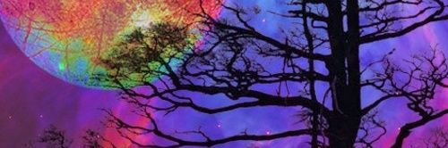 mnordiansyah's profile banner image