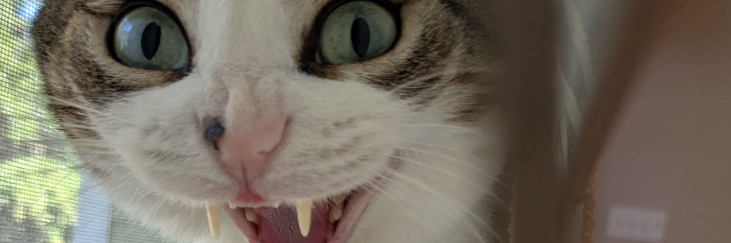 キノコ☕😺文フリ東京39感想📕アンソロジーB/36番「ブラックコーヒーになん人」 banner