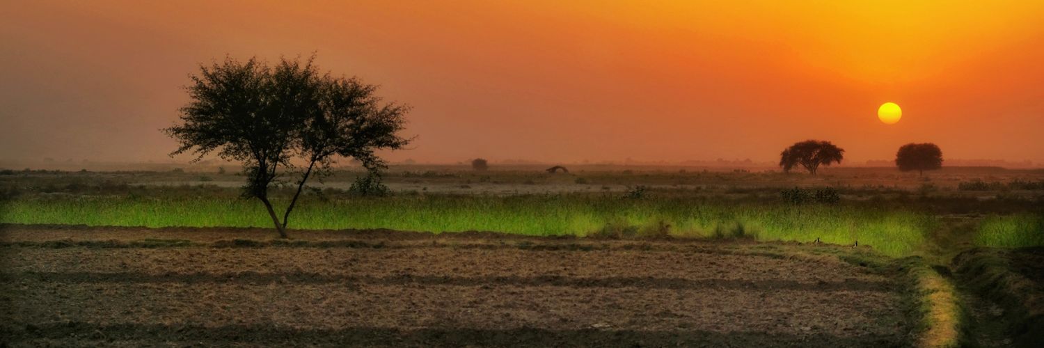onlyqamar's profile banner image