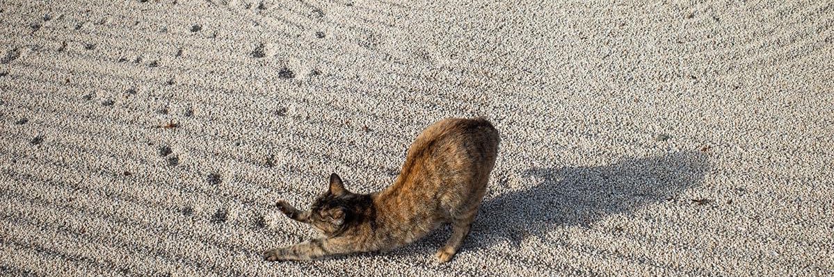 นายแจ่ม4cute banner