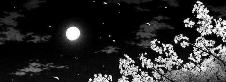 lilacluna36's profile banner image