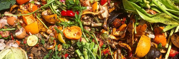 TheFarminary Profile Banner