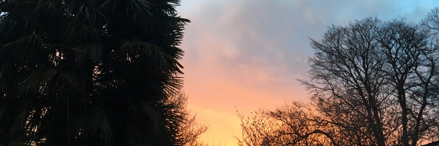 beatlechat's profile banner image